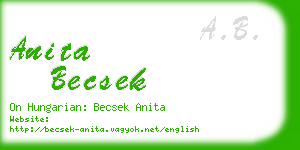 anita becsek business card